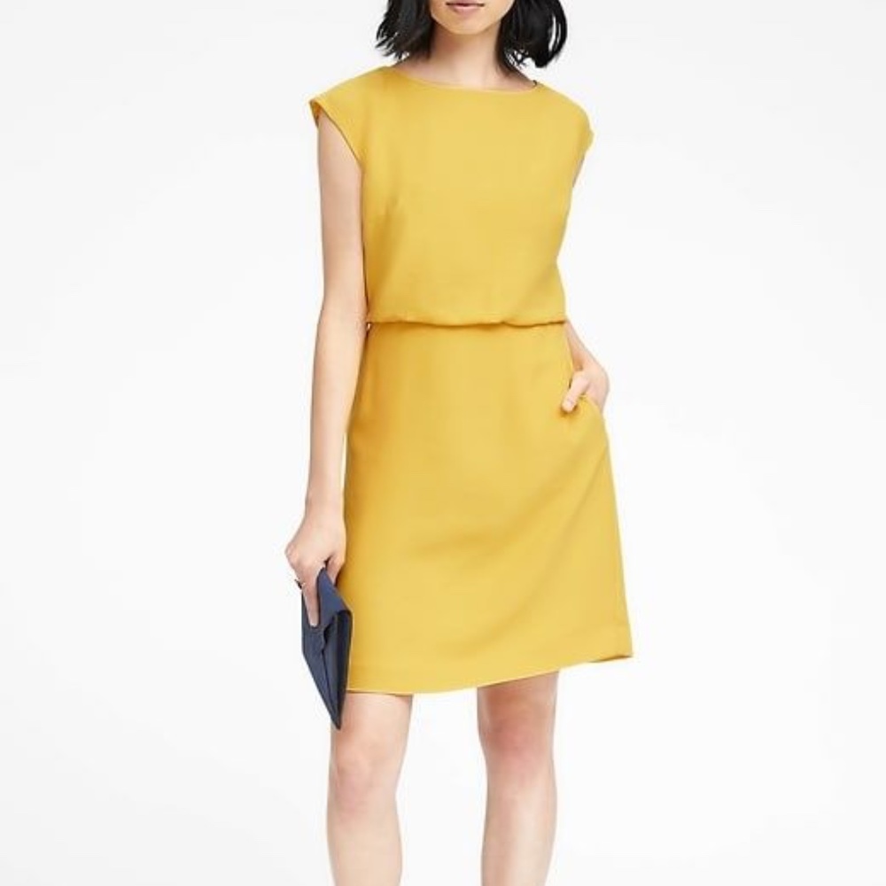 Banana Republic Drape Back Dress